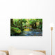 rainforest river panorama Wall Mural