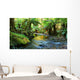 rainforest river panorama Wall Mural