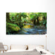 rainforest river panorama Wall Mural