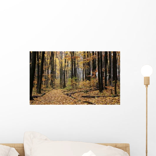 Autumn Log Trail Wall Decal