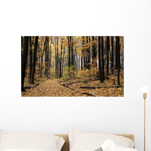 Autumn Log Trail Wall Decal