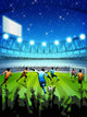 Soccer Stadium Night Wall Decal