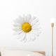Flower Decals - Little White Daisy Wall Decal