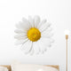 Flower Decals - Little White Daisy Wall Decal
