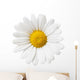Flower Decals - Little White Daisy Wall Decal