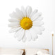 Flower Decals - Little White Daisy Wall Decal