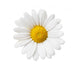 Flower Decals - Little White Daisy Wall Decal