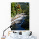 Labeblick Wall Mural