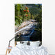 Labeblick Wall Mural