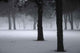 Winter Fog 001 Wall Decal