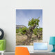 Vineyards Jvea