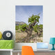 Vineyards Jvea