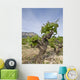 Vineyards Jvea