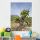 Vineyards Jvea