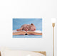 Tiresome Studies Wall Mural