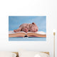 Tiresome Studies Wall Mural