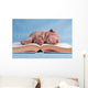 Tiresome Studies Wall Mural