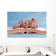 Tiresome Studies Wall Mural