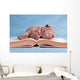 Tiresome Studies Wall Mural