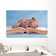 Tiresome Studies Wall Mural