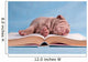 Tiresome Studies Wall Mural