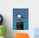Ocean Sea Gull