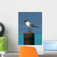 Ocean Sea Gull