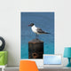 Ocean Sea Gull