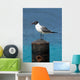 Ocean Sea Gull