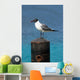 Ocean Sea Gull