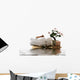 Spa Towels and Items