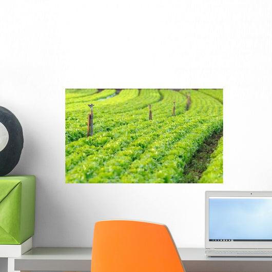 Fields Salads Wall Decal