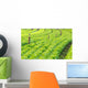 Fields Salads Wall Decal