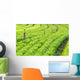 Fields Salads Wall Decal