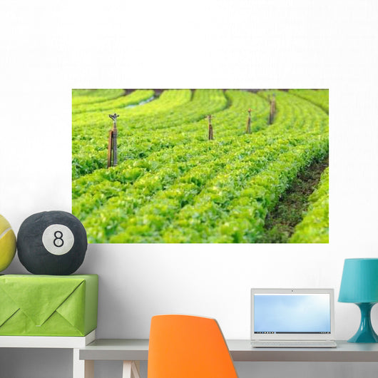 Fields Salads Wall Decal