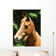 Horse Wall Mural