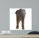 Animal Elephant Wall Decal