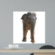 Animal Elephant Wall Decal