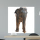 Animal Elephant Wall Decal