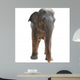 Animal Elephant Wall Decal