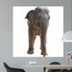 Animal Elephant Wall Decal