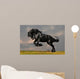Black Friesian Stallion Gallop