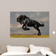 Black Friesian Stallion Gallop
