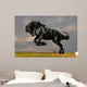 Black Friesian Stallion Gallop