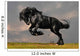 Black Friesian Stallion Gallop