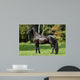 Black Friesian Horse Wall Mural