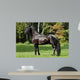 Black Friesian Horse Wall Mural