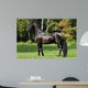 Black Friesian Horse Wall Mural