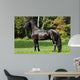 Black Friesian Horse Wall Mural