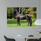 Black Friesian Horse Wall Mural